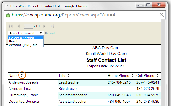 Staff Contact Report in Report Viewer